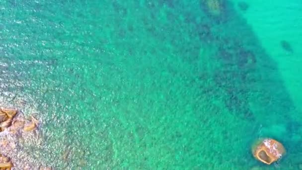 Aerial Top View Reef Turquoise Sea Rock Beach Smooth Waves — Video