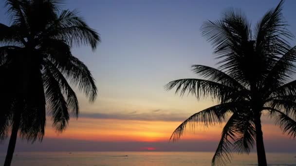 Εναέρια Άποψη Όμορφο Ηλιοβασίλεμα Πάνω Από Τον Ωκεανό Καρύδες Κανάλι — Αρχείο Βίντεο