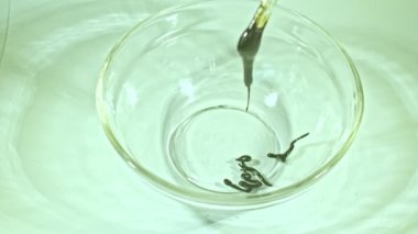 .Using heat to simmer cannabis buds to stimulate cannabinoids. Use a glass rod to stir the cannabis oil..Hemp oil color is dark brown and sticky..hemp oil extraction. Herbs with great benefits