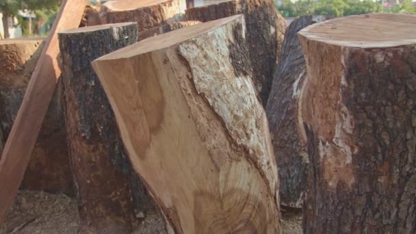 Große Holzstücke Wurden Stücke Geschnitten Verschiedene Arten Von Trommeln Machen — Stockvideo