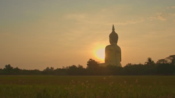 Scenario Alba Fronte Grande Buddha Della Thailandia Wat Muang Ang — Video Stock