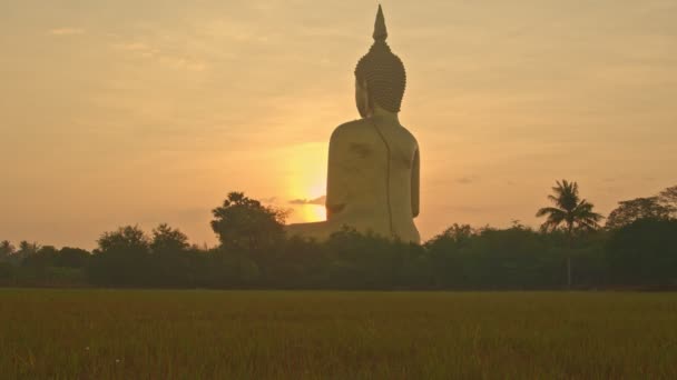 Сцени Сходу Сонця Перед Великим Буддою Таїланду Ват Муанг Анг — стокове відео