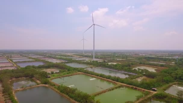 Letecké Fotografie Větrná Turbína Větrné Turbíny Vyrábějí Elektřinu Krevetovém Poli — Stock video