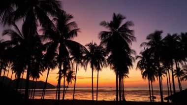 Koh Yao Yai 'deki Laem had Sahili' nin havadan görünüşü, Phuket ve Krabi Tayland arasındaki ada. Hindistan cevizi ağaçlarının üzerinde gün doğumunda çarpıcı gökyüzü manzarası. Tropikal bir manzara..