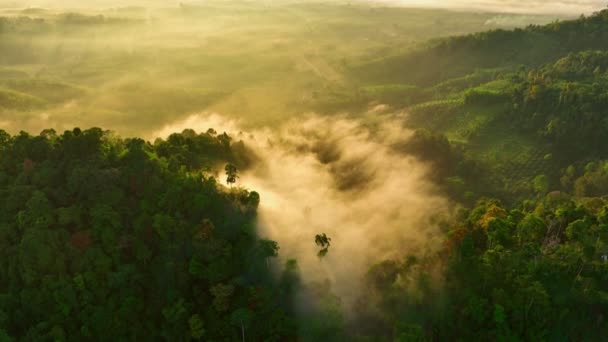 Aerial View Beautiful Sunrise Horizon Mountain Range Phang Nga Thailand — Stock Video