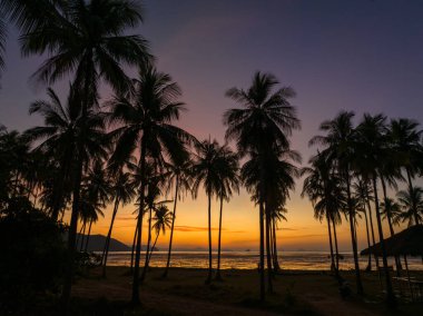 Aerial view stunning sky at sunrise above coconut trees
