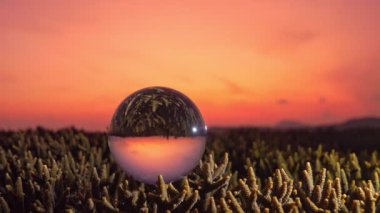 .Unconventional and beautiful natural views of the sea in a magic crystal ball. .Nature video High quality footage.coral reef background..Unique and creative travel and nature idea videos 4K clips.