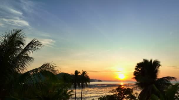 Luftaufnahme Atemberaubender Himmel Bei Sonnenaufgang Über Kokospalmen Wunderbare Luftaufnahme Der — Stockvideo