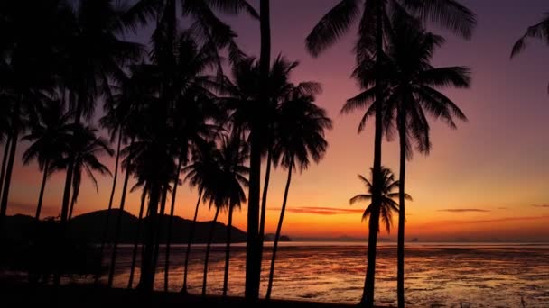 Luchtfoto Prachtige Hemel Bij Zonsopgang Boven Kokospalmen Prachtig Uitzicht Vanuit — Stockvideo
