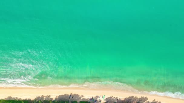 해변에 원활한 루프의 해변에서 파도가 해안쪽으로 휩쓸린 파도와 명확한 파라다이스 — 비디오