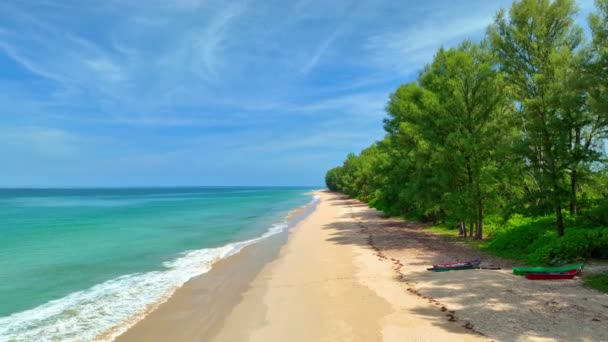 수있는 스트레칭 소나무와 해변의 청록색 바다와 아름다운 — 비디오