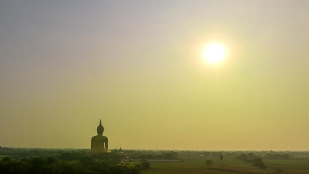Aerial Hyperlapse Sun Shine Big Buddha Rice Field — Stock Video