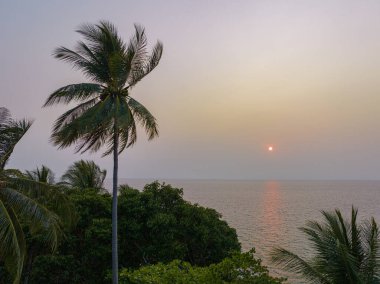 Hindistan cevizi ağaçlarının üzerinde gün batımında güneş ufka doğru batıyor.