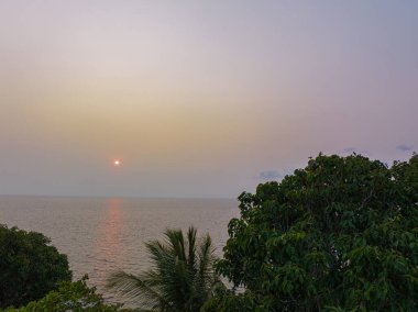 Hindistan cevizi ağaçlarının üzerinde gün batımında güneş ufka doğru batıyor.