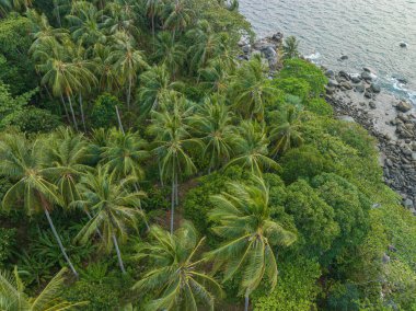 .Adanın etrafındaki taşlarla dolu kaya plajının havadan görünüşü. .pürüzsüz dalgalar yeşil denizin yanındaki kayalara çarpar..