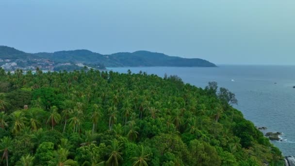 鸟瞰青绿色的大海 旁边是岩石和山脚下的绿林 岛上的岩石 在普吉岛 海浪拍打岩石 岩石纹理背景 — 图库视频影像