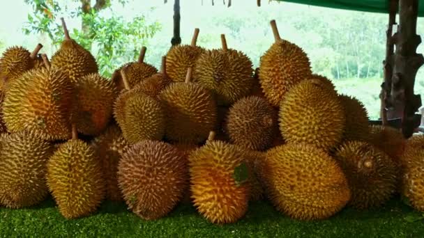 Сезонний Сорт Фруктових Фруктів Rambutan Durian Papaya Mangosteen Jackfruet Pineapple — стокове відео