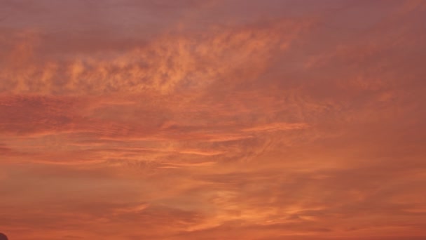 美丽的晨光 美丽的日出 美丽的自然景观 日出时令人惊奇的明亮的红色天空 美丽的日出热带景观背景 — 图库视频影像
