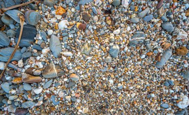 Kumsalın kum yerine yuvarlak kayalarla dolu olduğunu görmek inanılmaz. Yuvarlak kayaların güzel renkleri ve çeşitli boyutları vardır. Lanta adası Krabi 'nin deniz fenerindeki kayalıklar. taş arkaplan.