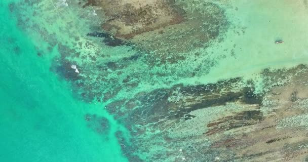 Vue Aérienne Dessus Vaste Territoire Récifs Coralliens Profondément Dans Mer — Video