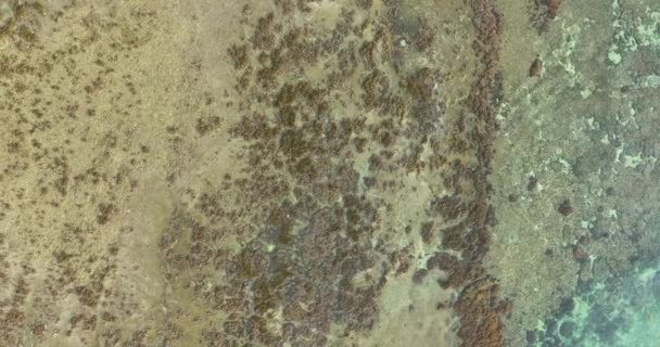 Вид Повітряний Дрон Різних Типів Коралів Морі Поблизу Пхукета — стокове відео