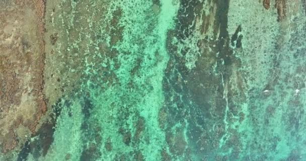 Aerial Top View Extensive Coral Reef Territory Deep Sea New — Stock Video