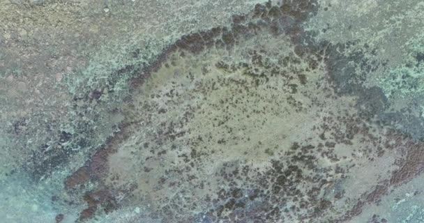 Vue Aérienne Dessus Vaste Territoire Récifs Coralliens Profondément Dans Mer — Video