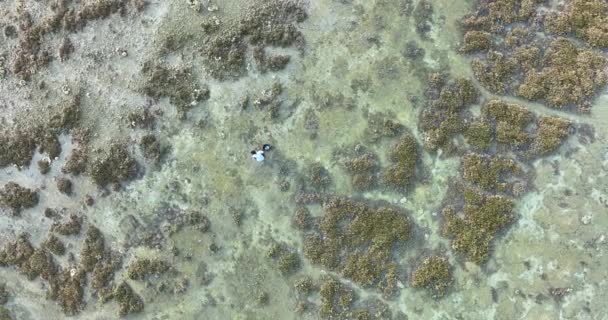 Widok Lotu Ptaka Wioski Łowią Ryby Rafach Koralowych Koralowce Rosną — Wideo stockowe