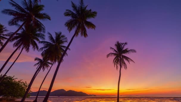 Čas Vypršel Ohromující Obloha Při Východu Slunce Kokosových Stromech Nádherný — Stock video