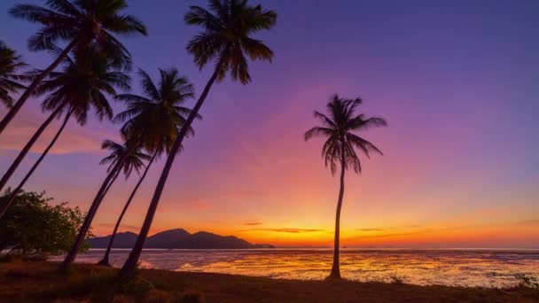 Zeitraffer Atemberaubender Himmel Bei Sonnenaufgang Kokospalmen Wunderbare Aussicht Auf Bunte — Stockvideo