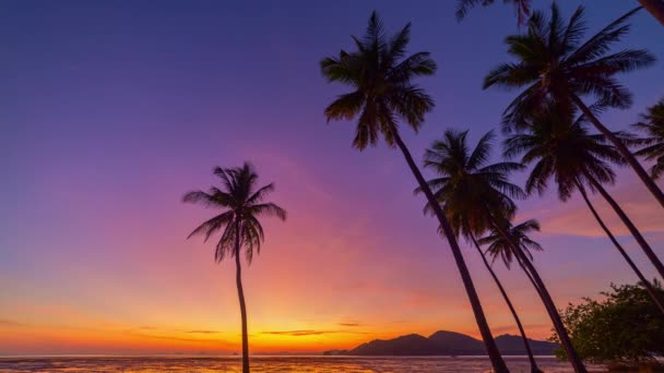 Czas Upływa Oszałamiające Niebo Wschodzie Słońca Kokosowych Drzew Wspaniały Widok — Wideo stockowe