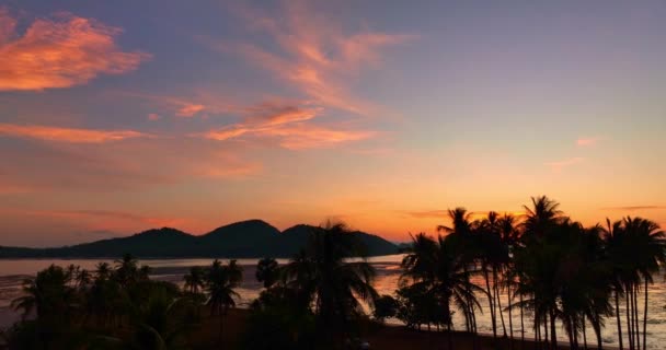 Luftaufnahme Atemberaubender Himmel Bei Sonnenaufgang Über Kokospalmen Wunderbare Luftaufnahme Der — Stockvideo