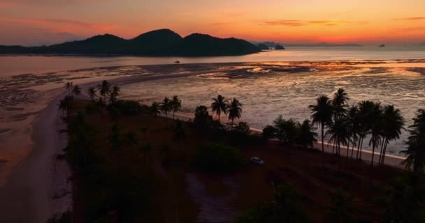 Uitzicht Vanuit Lucht Verbluffende Hemel Bij Zonsopgang Boven Kokospalmen Prachtig — Stockvideo