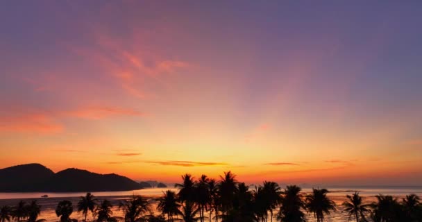 Widok Lotu Ptaka Oszałamiające Niebo Wschodzie Słońca Nad Drzewami Kokosowymi — Wideo stockowe