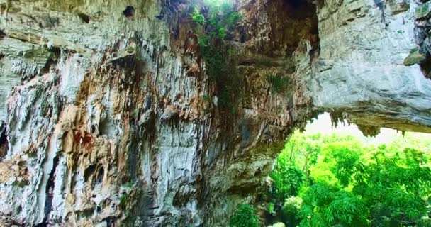Widok Lotu Ptaka Piękne Stalaktyty Ścianach Jaskiniowych Ściany Jaskini Pokryte — Wideo stockowe