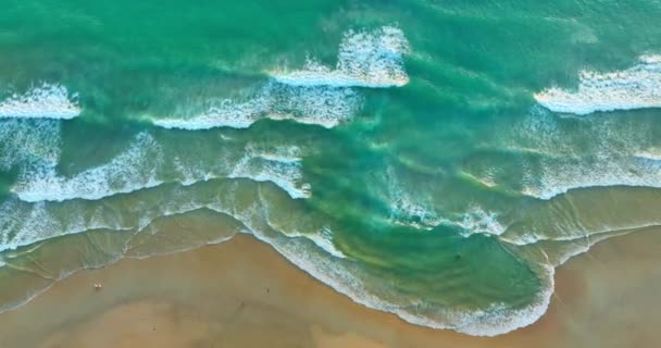 공중에서 위에서는 해변을 천천히 밀려오는 수있다 모래사장에 드리워진 바다에서는 거품의 — 비디오