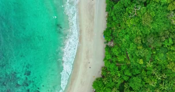 Özgürlük Plajı Patong Phuket Yeşil Orman Yeşil Deniz Manzarası Phuket — Stok video