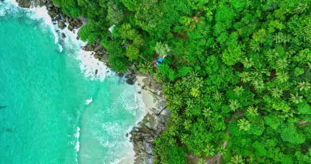 Patong 푸켓에서 해변과 아름다운 파도가 해안을 천천히 — 비디오