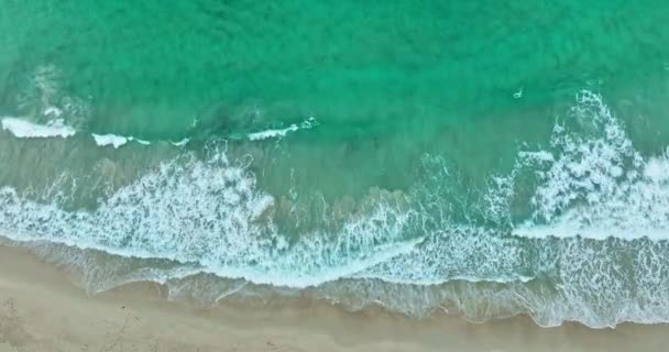 Vista Aérea Paisaje Verde Mar Blanco Playa Bosque Verde Freedom — Vídeos de Stock