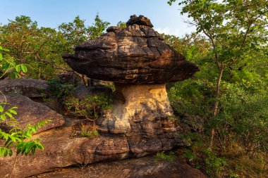 Garip şekilli kayalıklarda gün doğumu manzarası. Bu taşlar, şaşırtıcı bir görsel başyapıt yaratmak için doğa tarafından titizlikle oluşturulmuştur. Taşlar oyulmuş ve inanılmaz yapılar oluşturulmuştur..