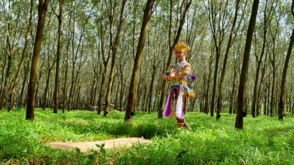 Молода Жінка Виконує Традиційні Мистецтва Популярні Південному Регіоні Таїланду — стокове відео