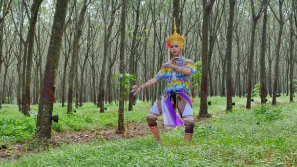 Nóra Egyfajta Hagyományos Népi Előadóművészetek Hogy Népszerű Thaiföld Déli Részén — Stock videók