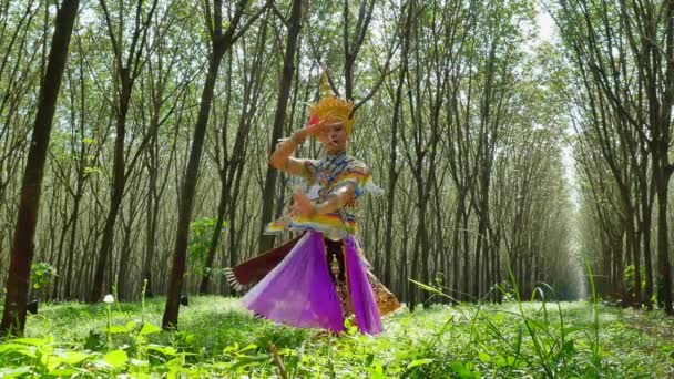 Nóra Egyfajta Hagyományos Népi Előadóművészetek Hogy Népszerű Thaiföld Déli Részén — Stock videók