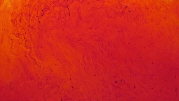 Красный Тон Порошок Пигмент Рассеялся Воде Медленно Распадается Медленно Погружается — стоковое видео