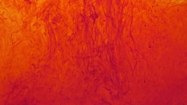 Pigmento Rojo Del Polvo Del Tono Dispersó Agua Desintegró Lentamente — Vídeos de Stock