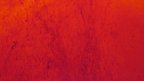 Pigmento Polvo Tono Rojo Dispersado Agua Desintegra Lentamente Hunde Lentamente — Vídeos de Stock
