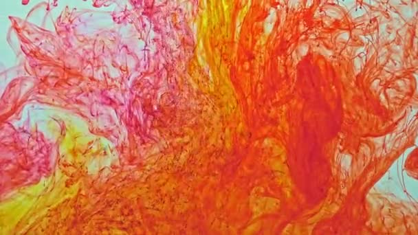 红色粉末色素分散在水中 慢慢分解 — 图库视频影像