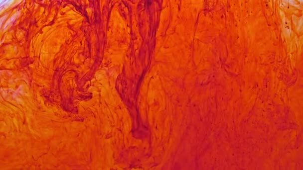 Pigmento Vermelho Tom Disperso Água Desintegra Lentamente Afundado Lentamente Imagens — Vídeo de Stock
