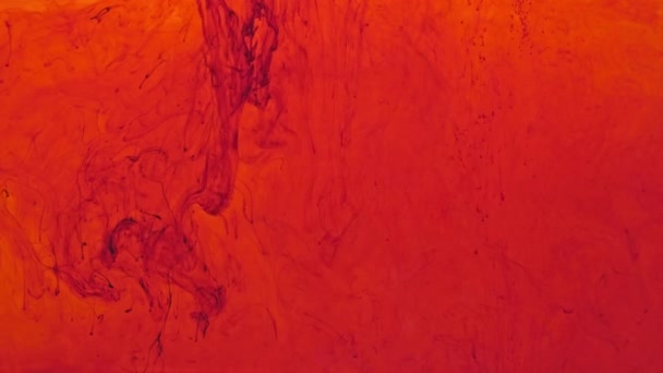 赤色のトーンパウダー顔料は水に分散し ゆっくりと崩壊し ゆっくりと沈みます 色鮮やかな赤色のトーン映像は 世界が倫理的なビジョンで覆われているかのように夢のようなものになります グラデーション色 — ストック動画