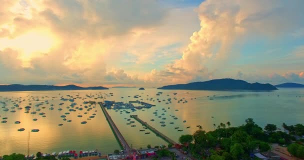 Αεροφωτογραφία Τοπίο Πολλά Σκάφη Σταθμεύουν Στη Μαρίνα Chalong Majestic Τοπίο — Αρχείο Βίντεο